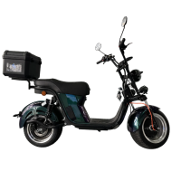 Электроскутер Skyboard Ural 2WD LiFePo4