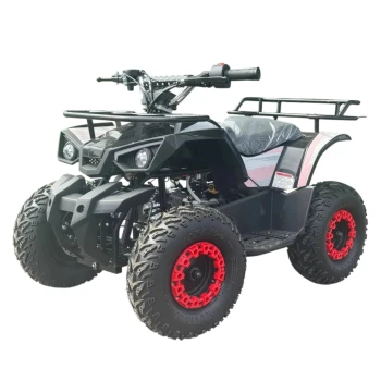 Квадроцикл IKINGI K6